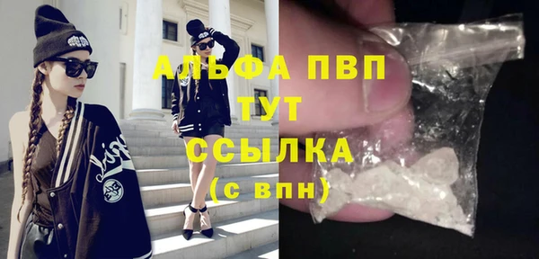эйфоретик Осташков