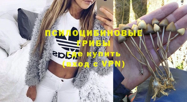 mdpv Арсеньев