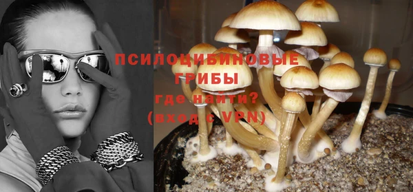 прущая мука Армянск
