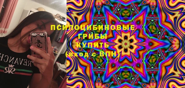 трава Аркадак